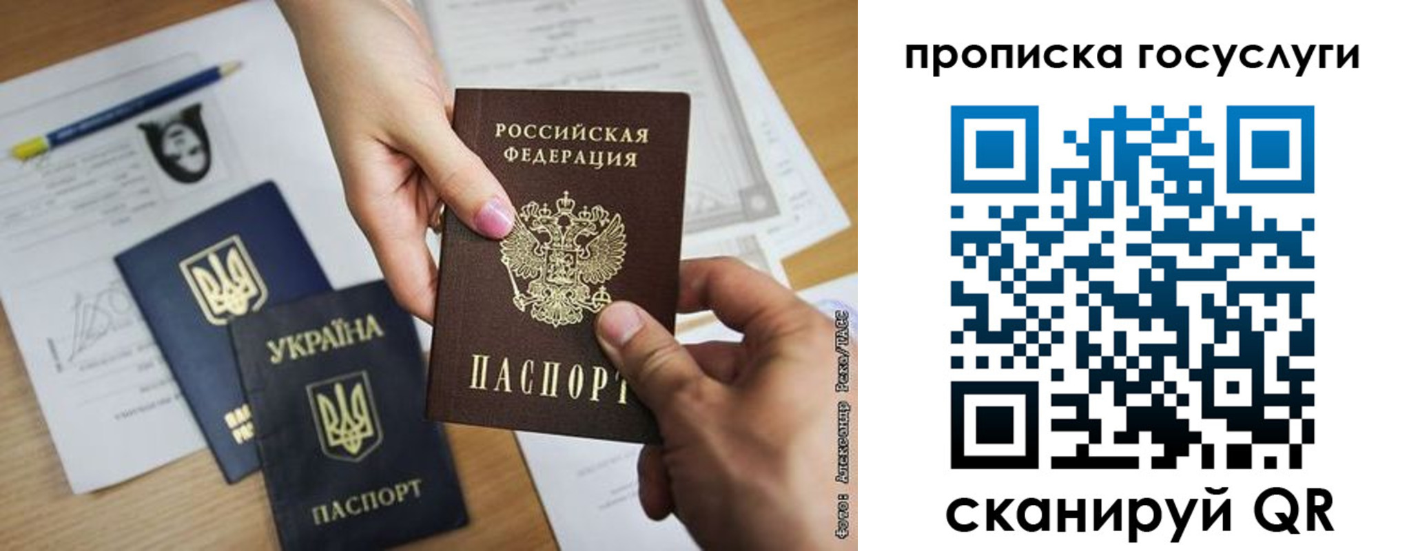 прописка в Кольчугино